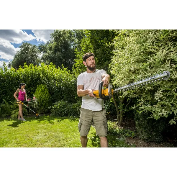 Riwall PRO RAHT 5220 set