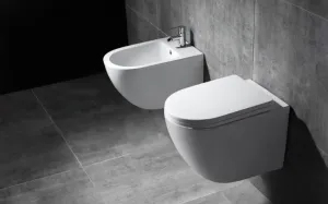 REA WC CARLO RIMLESS BASIC so sedátkom