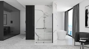 REA WALK-IN CORTIS BLACK 120 transparent