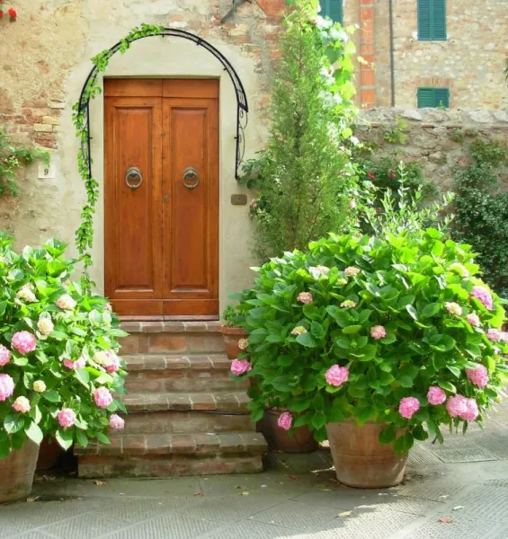 PERGOLA NAD DVERE 110 X 21 X 106 CM