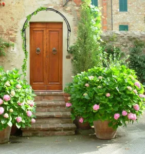 PERGOLA NAD DVERE 110 X 21 X 106 CM