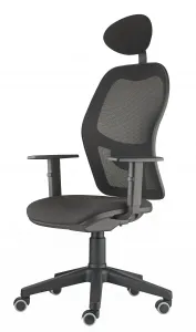 Danker Ergonomická stolička Q3 / HK NET / Čierna