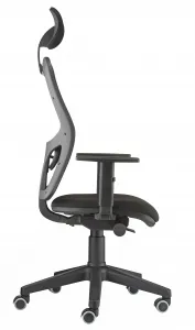 Danker Ergonomická stolička Q3 / HK NET / Čierna