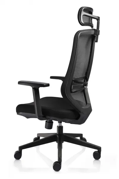 Ergonomická stolička KELLY Farba: Modrá