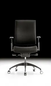 Danker Ergonomická kancelárska stolička FORTE
