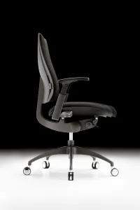 Danker Ergonomická kancelárska stolička FORTE