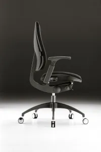 Danker Ergonomická kancelárska stolička FORTE s hlavovou opierku