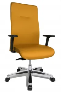 Topstar Záťažové kreslo BIG STAR 20