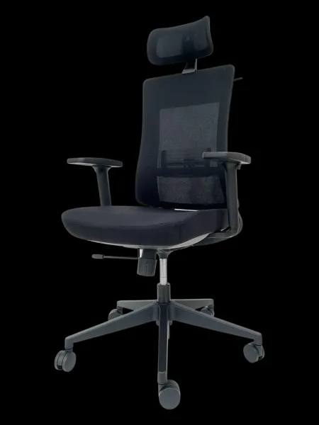Danker Ergonomická kancelárska stolička ROMA s nastaviteľnou sieťovanou hlavovou opierkou