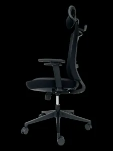 Danker Ergonomická kancelárska stolička ROMA s nastaviteľnou sieťovanou hlavovou opierkou