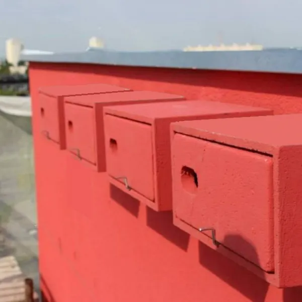 BNB Box APK-1 búdka pre dážďovníky, drevobetón, sivá APK-1 BNB