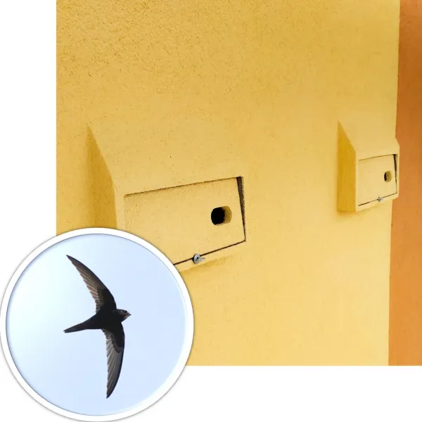 BNB Box APK-1 SMALL búdka pre dážďovníky, drevobetón, sivá APK-1 SM BNB