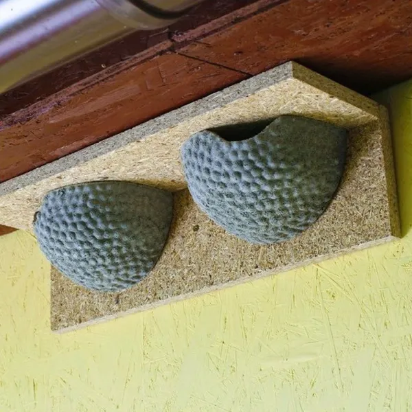 BNB Box APZ-1/2 dvojhniezdo pre belorítky, drevobetón APZ-1/2 BNB