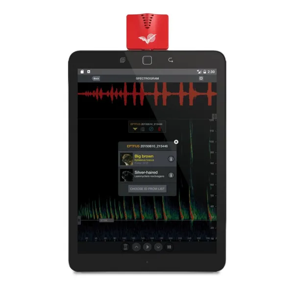 Wildlife Acoustics ECHO METER TOUCH 2 Android & iOS (USB-C)