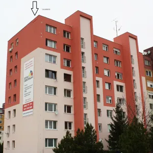 BAT-MAN Maxi-B búdka pre netopiere, polystyrén, dvojkomorová B2MAXP BM