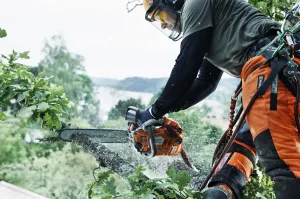 Profesionálna reťazová píla HUSQVARNA T540 XP® Mark III Píla pre stromolezcov