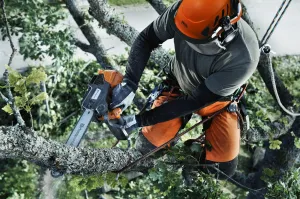 Profesionálna reťazová píla HUSQVARNA T540 XP® Mark III Píla pre stromolezcov