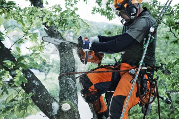 Profesionálna reťazová píla HUSQVARNA T540 XP® Mark III Píla pre stromolezcov