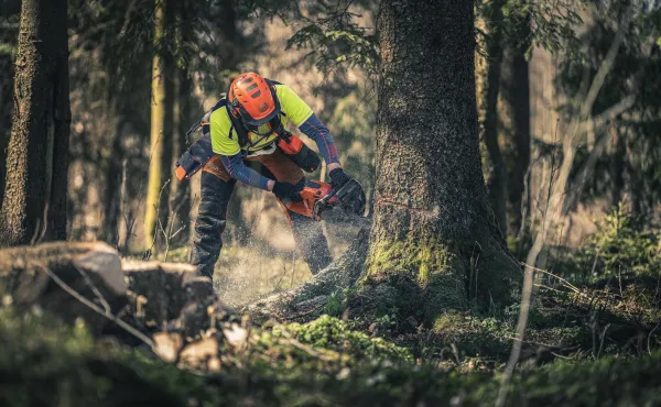 Profesionálna reťazová píla HUSQVARNA 560 XP Mark II