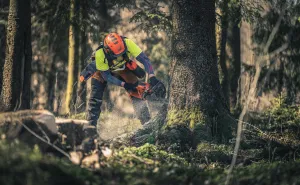 Profesionálna reťazová píla HUSQVARNA 560 XP Mark II