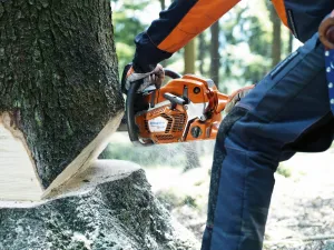 Reťazová píla HUSQVARNA 562 XPG Mark II