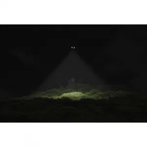 DJI SPEC DJI Wingsland Z15 gimbal Spotlight DJIM200-19