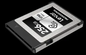 Lexar CFexpress Pro Silver Serie R1750/W1300 256GB