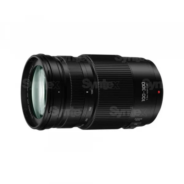 Panasonic LUMIX G VARIO 100-300mm F4.0-5.6 II POWER O.I.S. (2017) 4577
