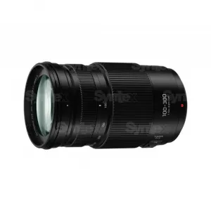 Panasonic LUMIX G VARIO 100-300mm F4.0-5.6 II POWER O.I.S. (2017) 4577