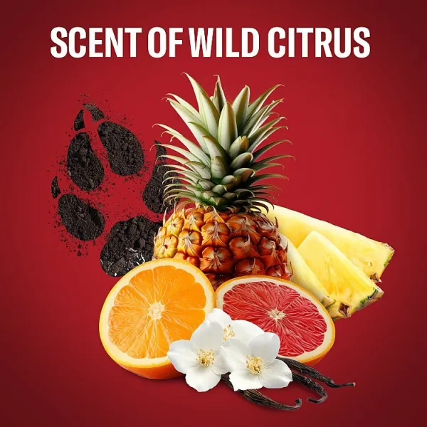 Old Spice Wolfthorn Dezodorant V Spreji Pre Mužov 150ml, 48 h Sviežosť a Bez Hliníka