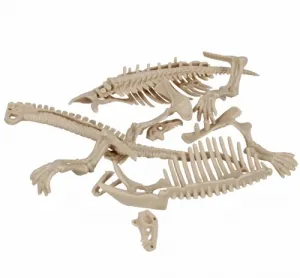 CreativeToys Kostra dinosaura