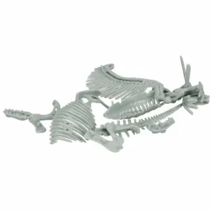 CreativeToys Kostra dinosaura