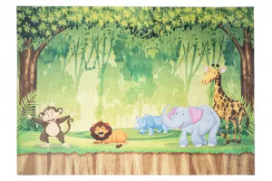 DECOREUM Koberec 2649 PRINT EMMA Rozmery (v): 80x150
