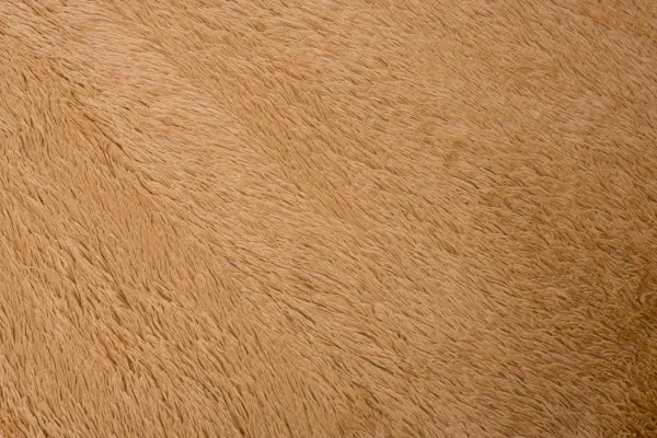 DECOREUM Koberec BEIGE SILK béžová Rozmery (v): 140x200