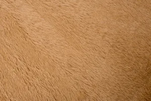 DECOREUM Koberec BEIGE SILK béžová Rozmery (v): 140x200