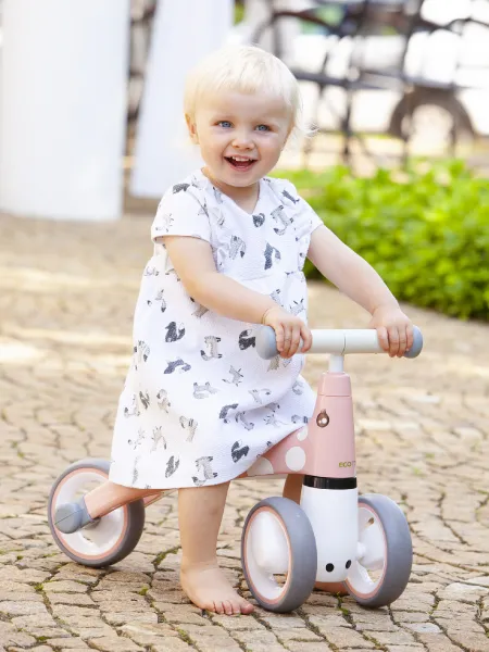 WELLHOX Balančný bicykel "Flamingo"