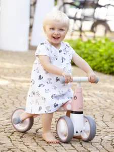 WELLHOX Balančný bicykel "Flamingo"