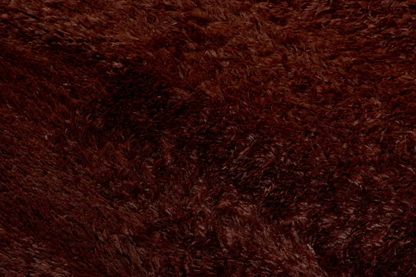 DECOREUM Koberec BROWN SILK hnedá Rozmery (v): 120x170