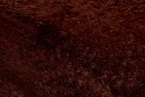 DECOREUM Koberec BROWN SILK hnedá Rozmery (v): 120x170