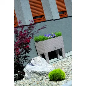 Prosperplast Truhlík so zavlažovacím systémom Rato Case High (60 x 46 x 25 cm (Š x V x H), biela)