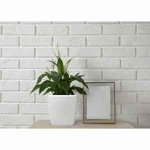 Obal Quadrato Easy 24 cm bílá