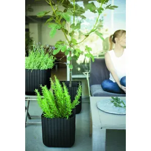 KETER Kvetináč BRICK PLANTER SM | grafit