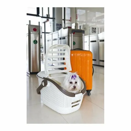 Prepravný box Curver Rattan pre domáce zvieratá