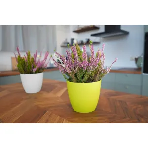 Gardenico Kvetináč Ella matt biela, pr. 18 cm