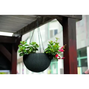 Kvetináč Hanging Globe hnedý