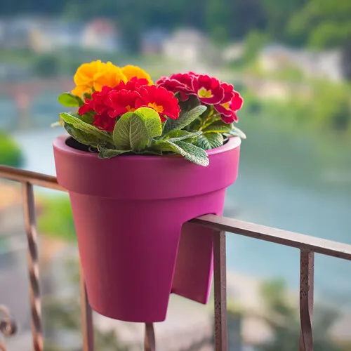 Prosperplast Kvetináč Lofly Terrace fuchsiový