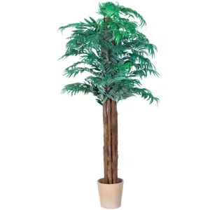 PLANTASIA 1465 Umelá palma rastlina - palma Areca - 180 cm