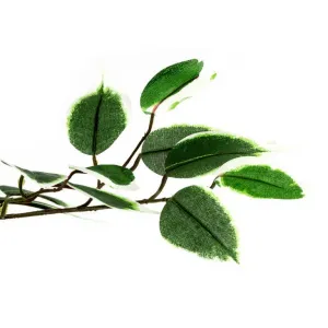 PLANTASIA 27406 Umelý strom rastlina - fikus - 160 cm
