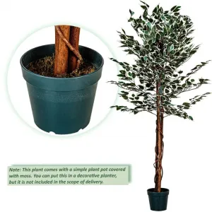 PLANTASIA 27406 Umelý strom rastlina - fikus - 160 cm