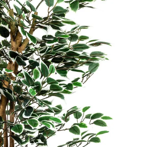 PLANTASIA 27406 Umelý strom rastlina - fikus - 160 cm